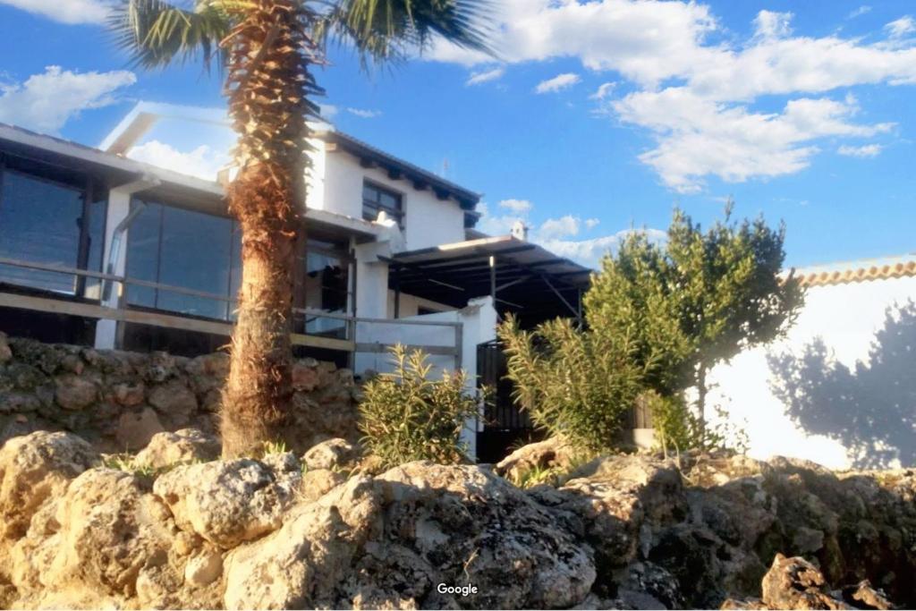 a house with a palm tree and some rocks at Luxurious Villa in Loja with pool in Loja