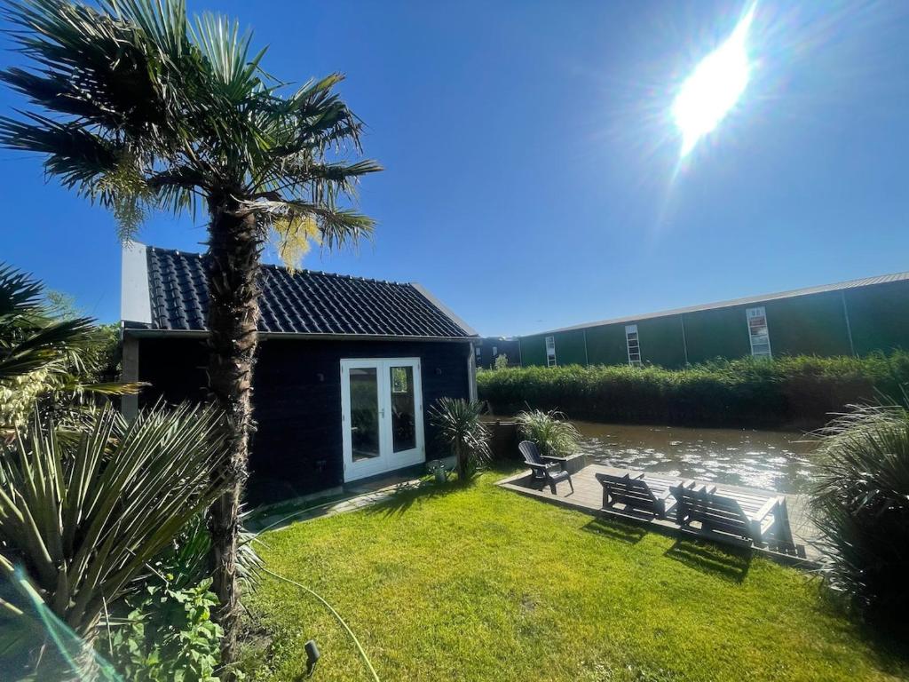 WestzaanにあるUnique Lodge 22 min from Amsterdam CSの庭のヤシの木のある家