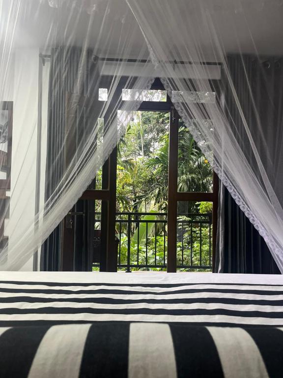 Ella Secret Paradise - 18