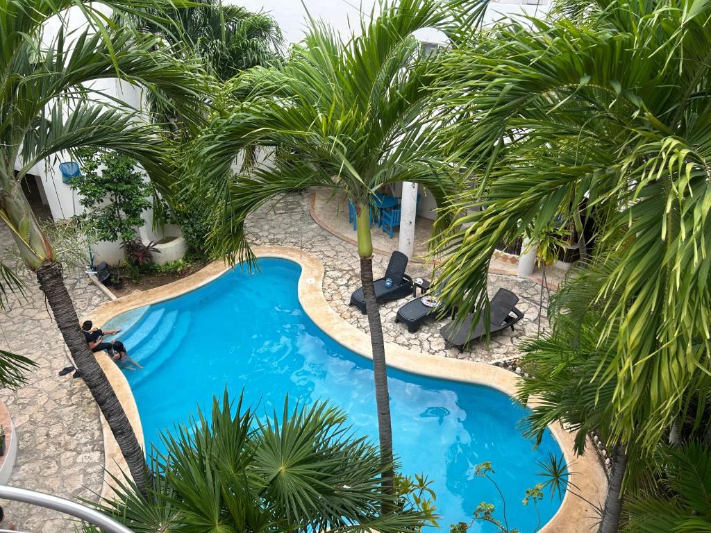 une vue aérienne d'une piscine avec des palmiers dans l'établissement blue angel 8 a unos pasos de la 5, à Playa del Carmen