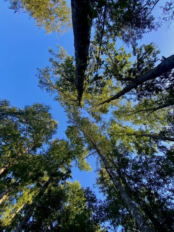 Cabaña familiar en Caburgua