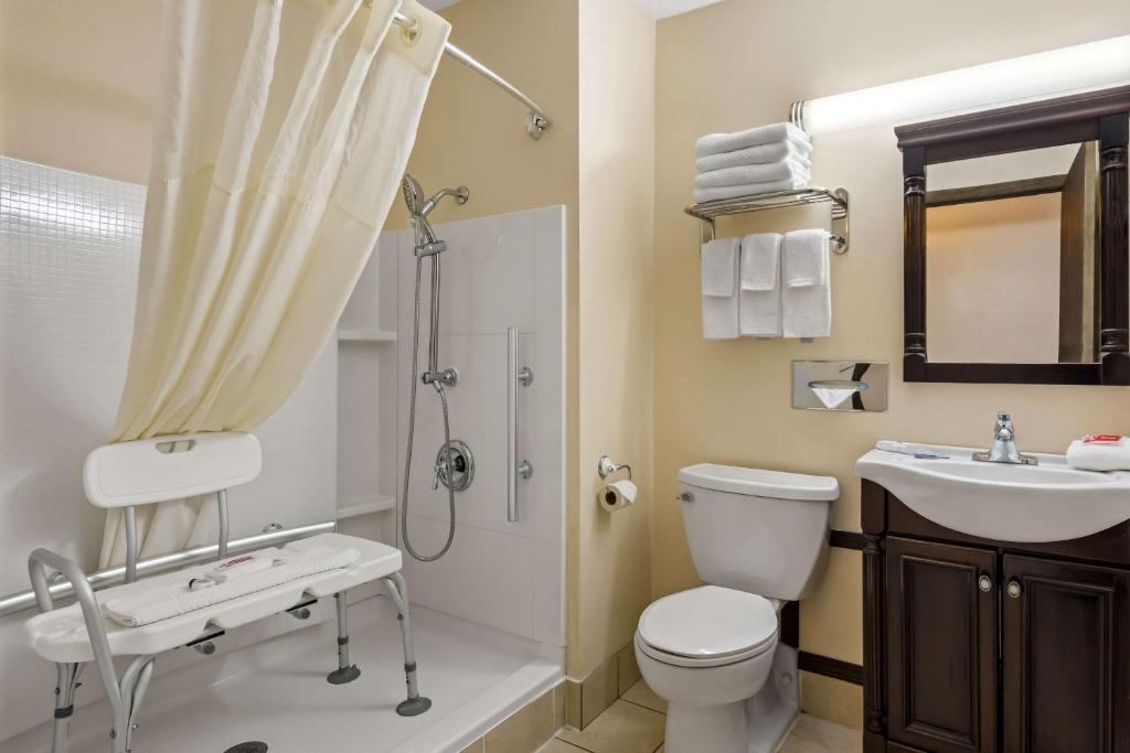 Koupelna v ubytování Econo Lodge Manistee