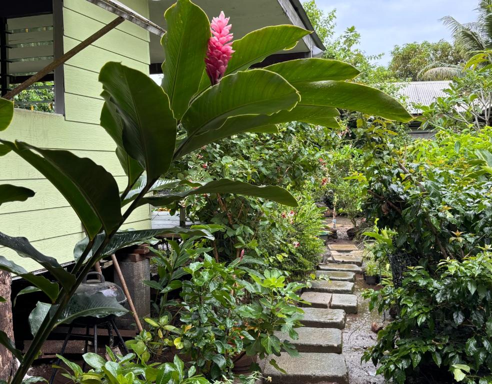 Chez Nina CH, Taputapuapea - photo 8 - Raiatea, Polynésie