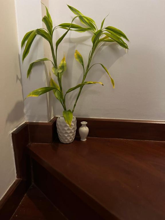 a plant in a white vase sitting on a table at Mookda house in Bangkok