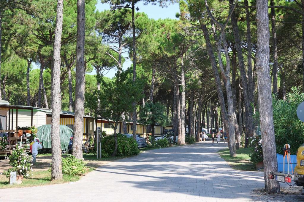 Zahrada ubytování Il Tridente Camping Village
