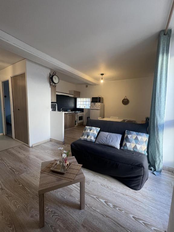 un salon avec un canapé noir et une table dans l'établissement Appartement Entier 38m2 T2 Hyper Centre de DAX, à Dax