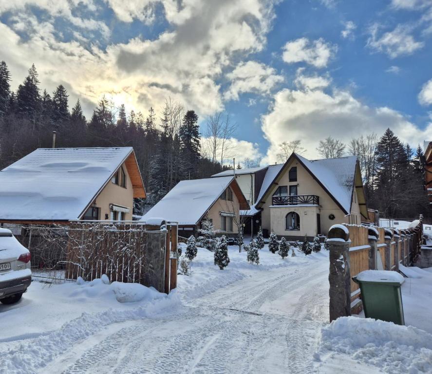 Fotografie z fotogalerie ubytování Lar&Den v destinaci Predeal