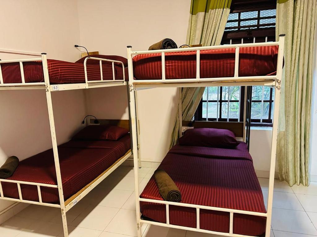 Rock View Hostel Ella - Litera En Habitación Compartida Femenina