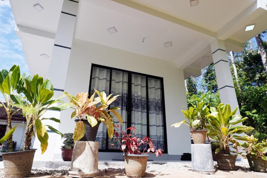 a house with plants in front of a window at White rose villa in Weligama