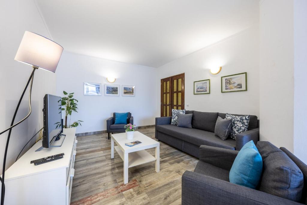 T3 Moinho by Seewest في Santo Amaro: غرفة معيشة مع أريكة وتلفزيون