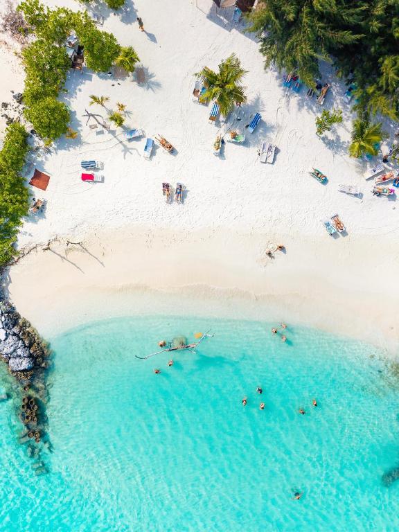 Pavona Maldives, Gaafaru (aktualisierte Preise für 2026)