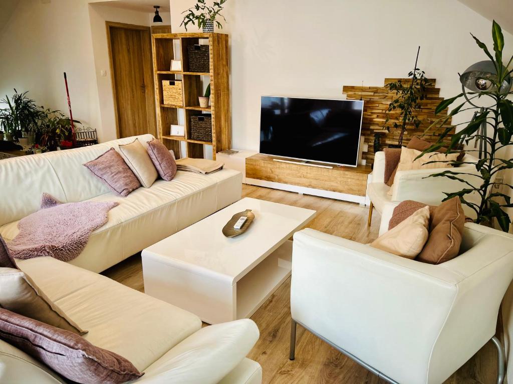 TV a/nebo společenská místnost v ubytování Garden House