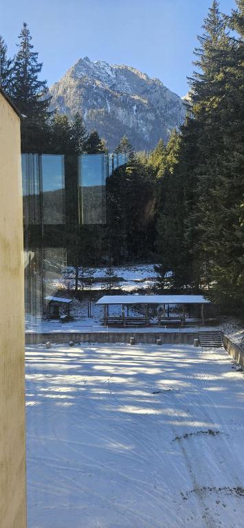 Příroda nedaleko hostelu
