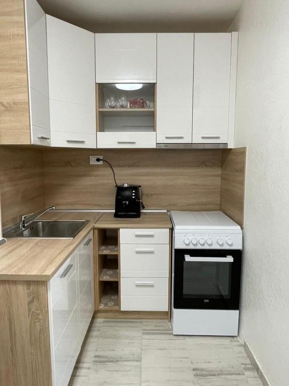Kuchyň nebo kuchyňský kout v ubytování Magnolia city view studio