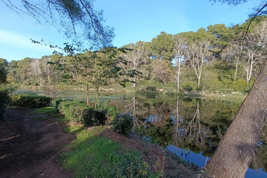 - une vue sur une étendue d'eau arborée dans l'établissement Apartment with balcony near beach, à Six-Fours-les-Plages