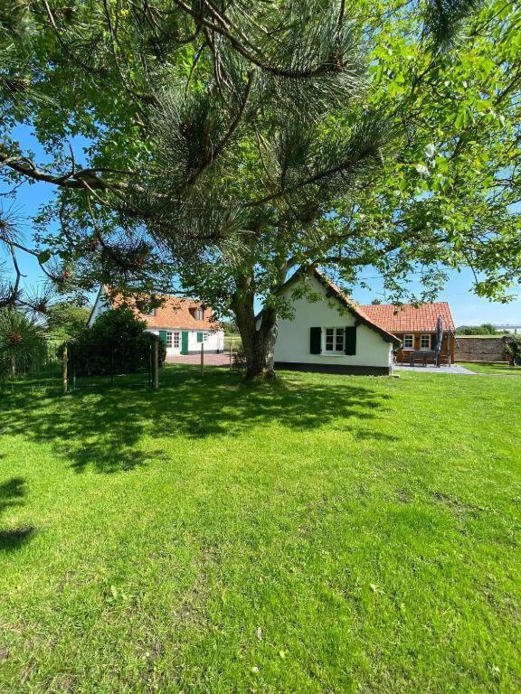 un arbre au milieu d'une cour avec une maison dans l'établissement cottages de la Maye, à Rue