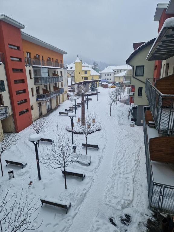 Apartmán Borgi v zimě