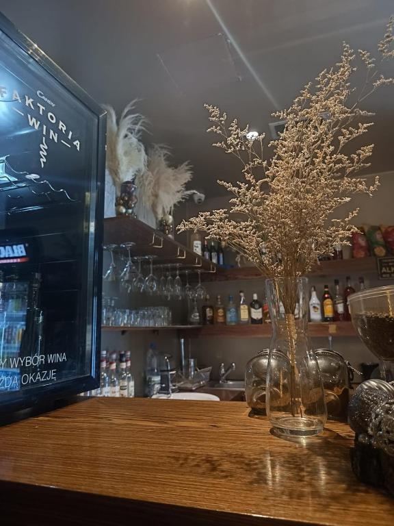 Hotel Kolna - darmowy parking, basen w cenie - Resim 40