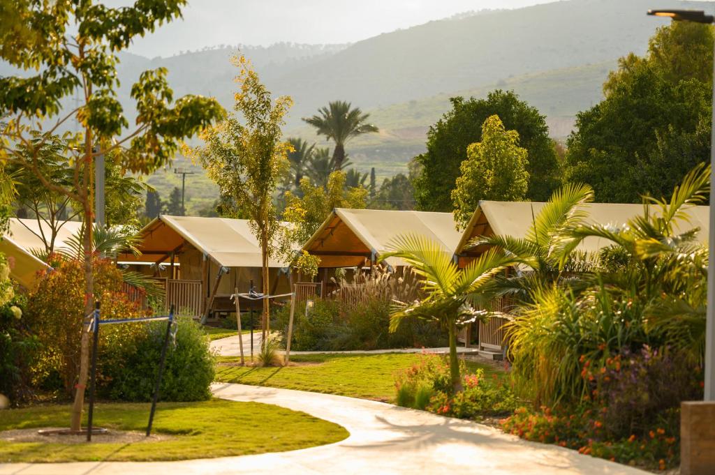 Příroda nedaleko luxury tent