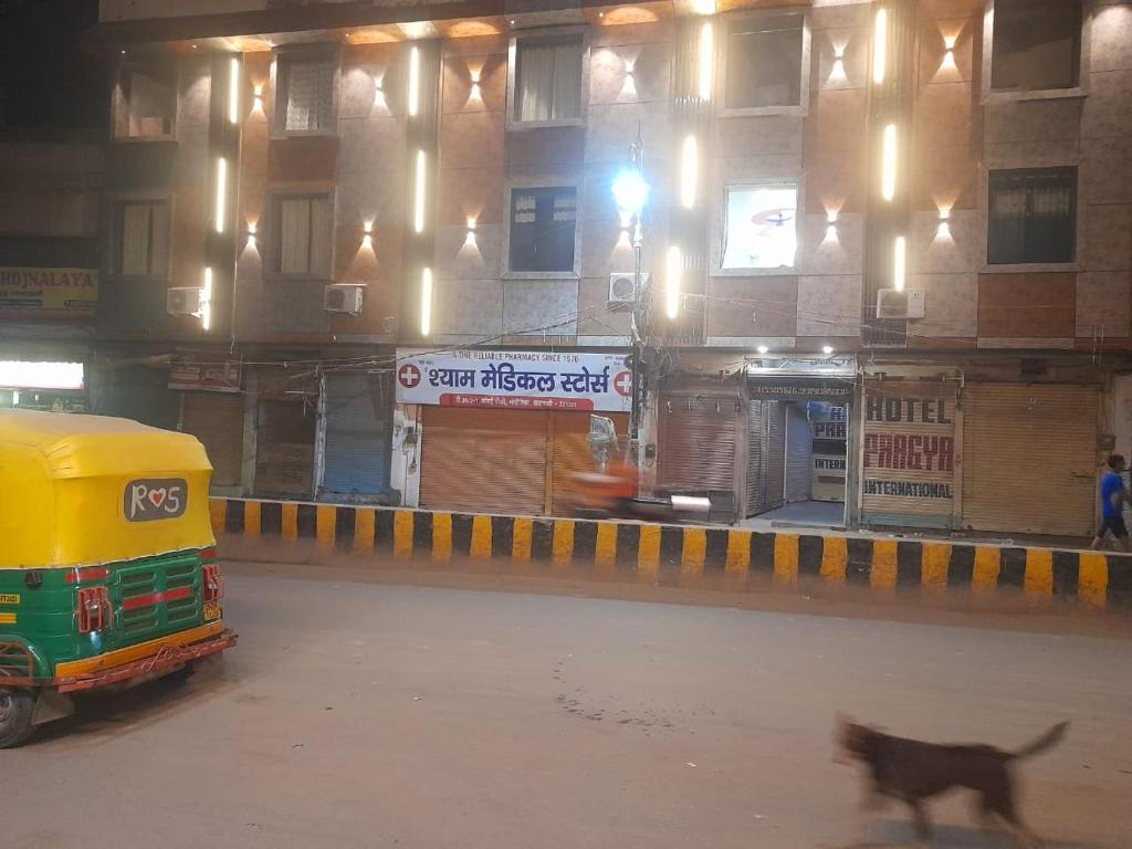 a cat walking in front of a building with a bus at Pragya international in Varanasi