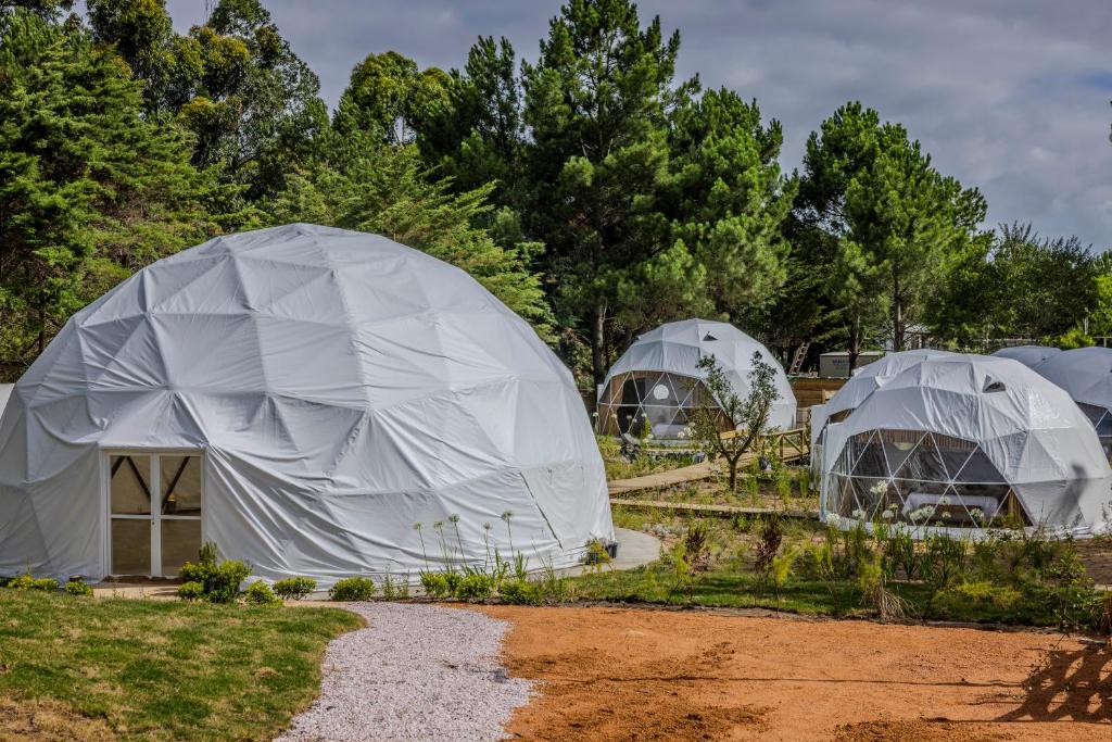 three domes in a garden with trees in the background at Hotel La Perla Domos in Punta del Este