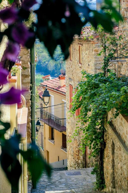 Une allée dans une ville avec des bâtiments et des fleurs violettes dans l'établissement Neptune T2 Meublé de tourisme 3 étoiles, à Amélie-les-Bains-Palalda
