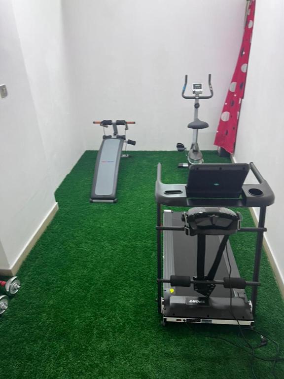 Fitness centrum a/nebo fitness zařízení v ubytování Miraph Apartment