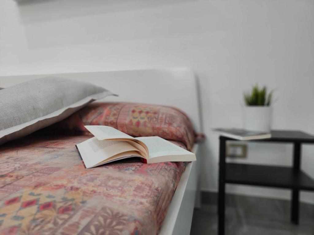 Postel nebo postele na pokoji v ubytování casa di Igor