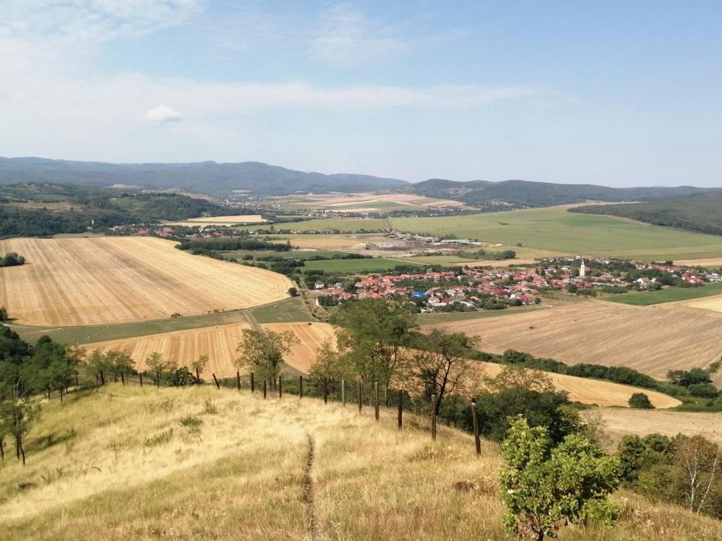 Przyroda w pobliżu tego apartamentu