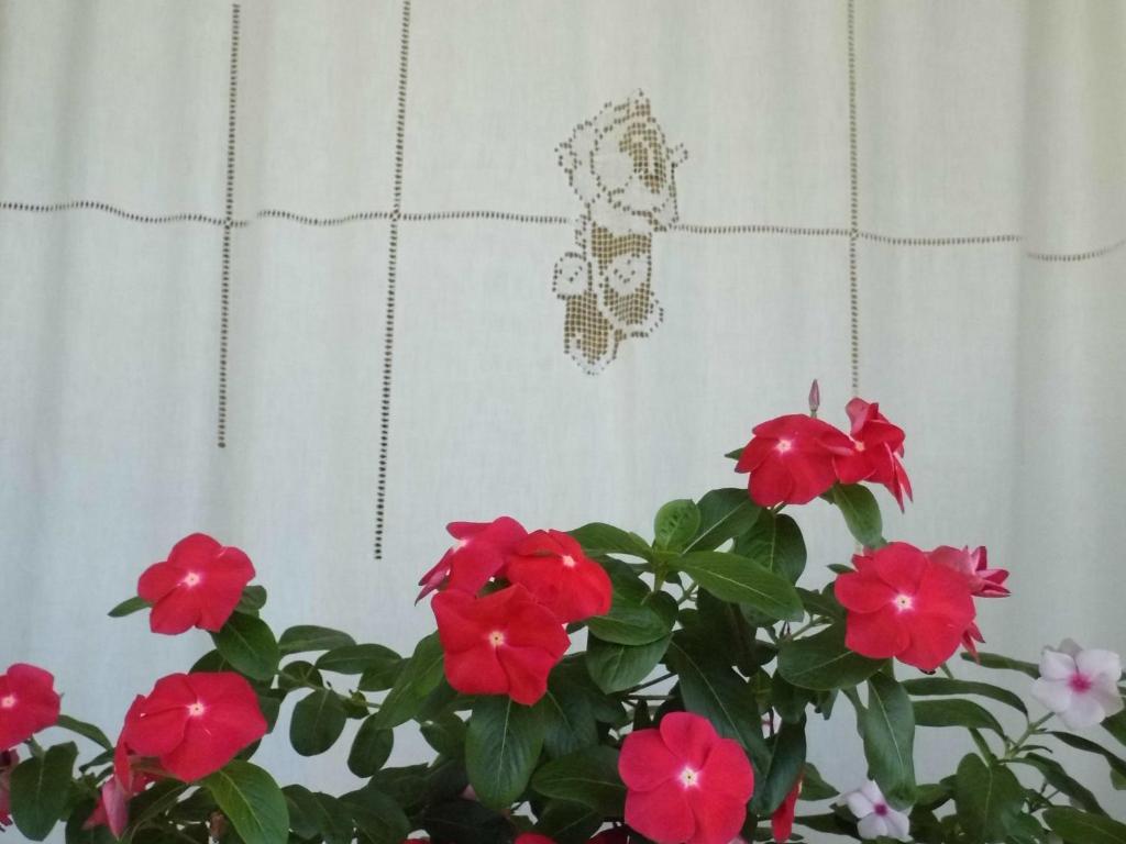 Kép Il Giardino Delle Sete szállásáról Mesagnéban a galériában