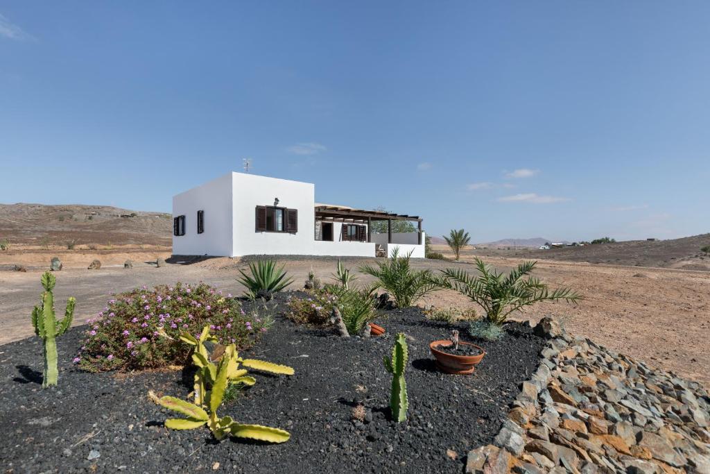a house in the middle of a desert with cactus at Casa Tagaide in Tuineje