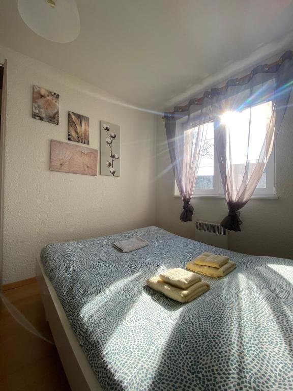 T1 Sympathique logement a Thann – photo 7