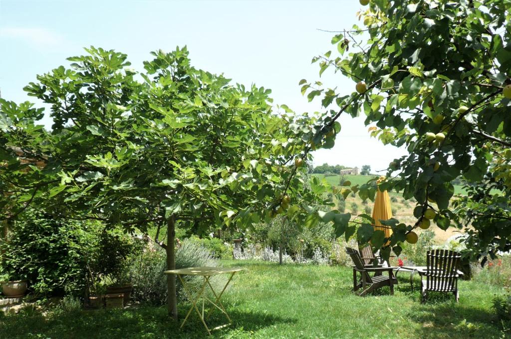 Ogród w obiekcie Strohballenhaus Valle delle Rose