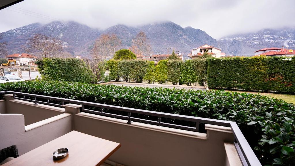 Eliton Hotel & Spa - 5