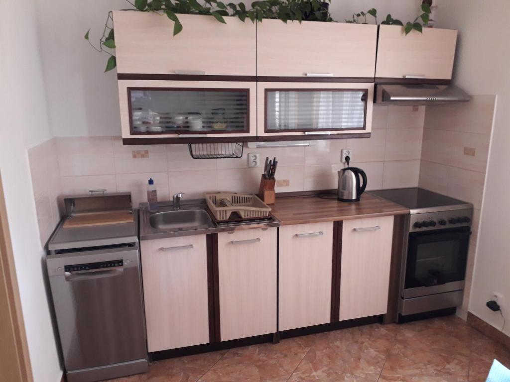 Kuchyň nebo kuchyňský kout v ubytování Apartmán L M