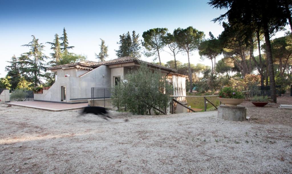 a dog running in front of a small house at Arte in Villa in Caltagirone