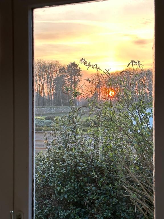 a sunset seen through a window with a bush at Little Omaha in Vierville-sur-Mer