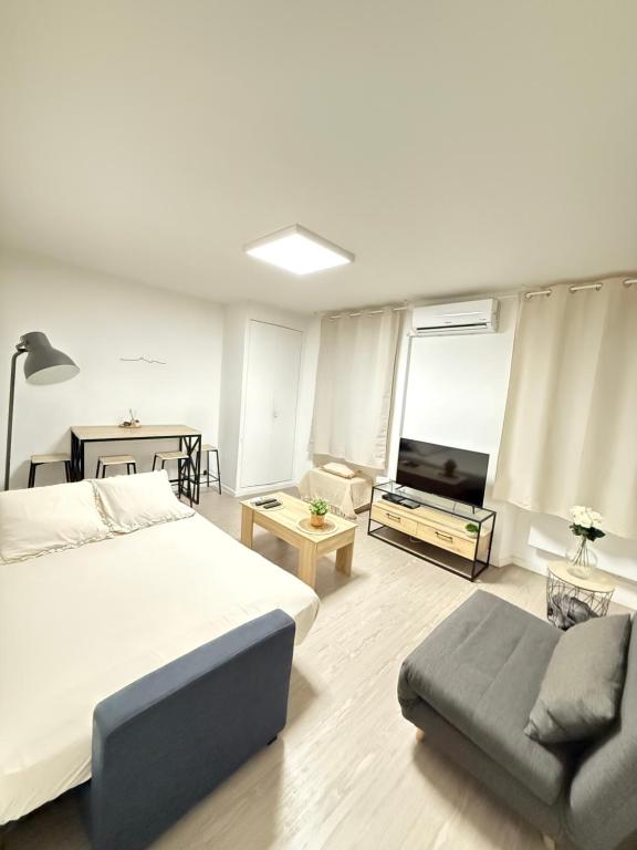 une chambre avec un lit, un canapé et une télévision dans l'établissement Cocon Marseillais, Centre-Ville, Vieux-Port - Rue Paradis, Rénové, Climatisé, 2pers, à Marseille
