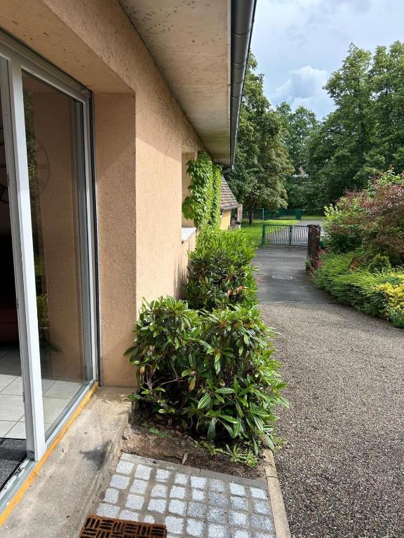 T2 Chaleureux logement a Thann – photo 11