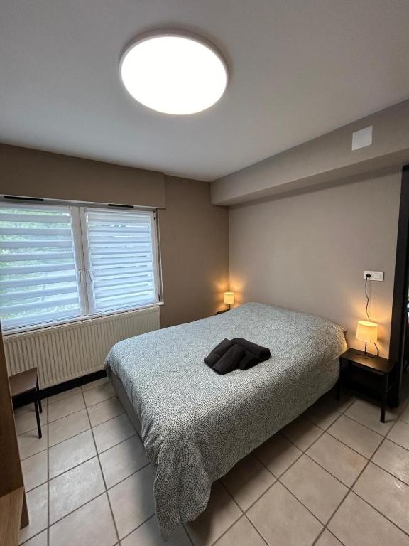 T2 Chaleureux logement a Thann – photo 13