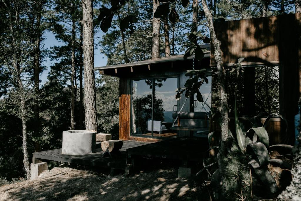 domek na drzewie w lesie z oknem w obiekcie Cabañas Rancho Viejo w mieście El Pacífico