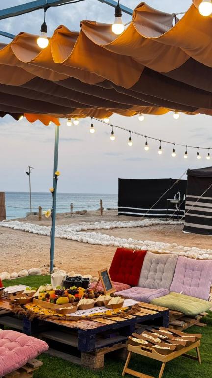 ROYAl FINS CAMP