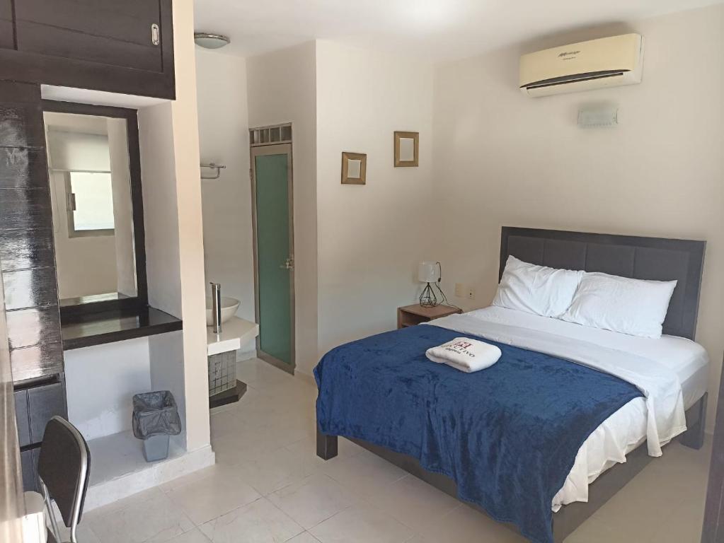 Hotel Ejecutivo Express Paraiso - Habitación Doble Grande