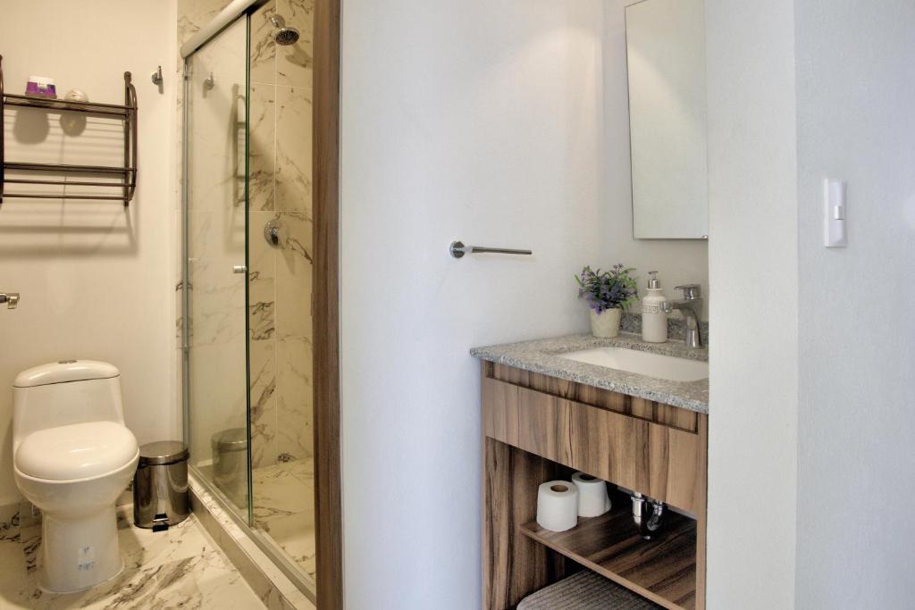a bathroom with a shower and a toilet and a sink at Casa Moderna con Alberca en Morelos in Xochitepec