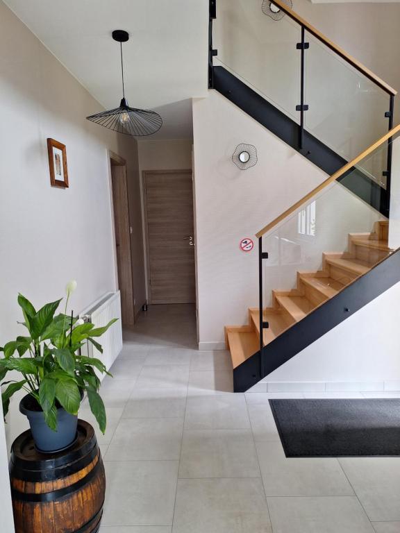 Maison individuelle, 10 minutes de Colmar 4 chambres - 8 personnes - 2 sdb – photo 14