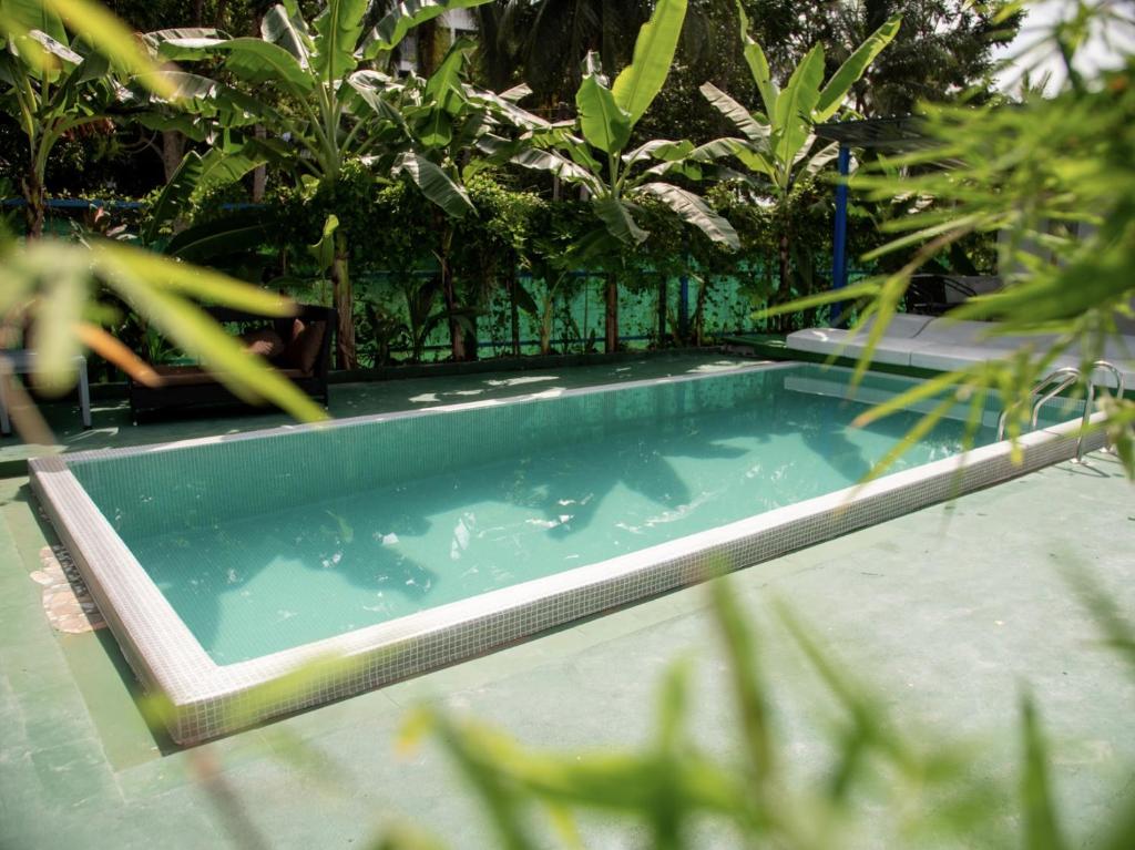 Bazén v ubytování Los Patios Hostel Phuket nebo v jeho okolí
