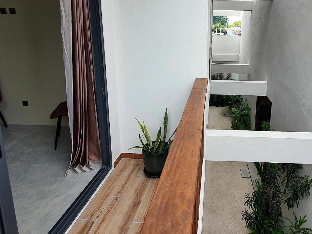 Kuredhi View - View 29