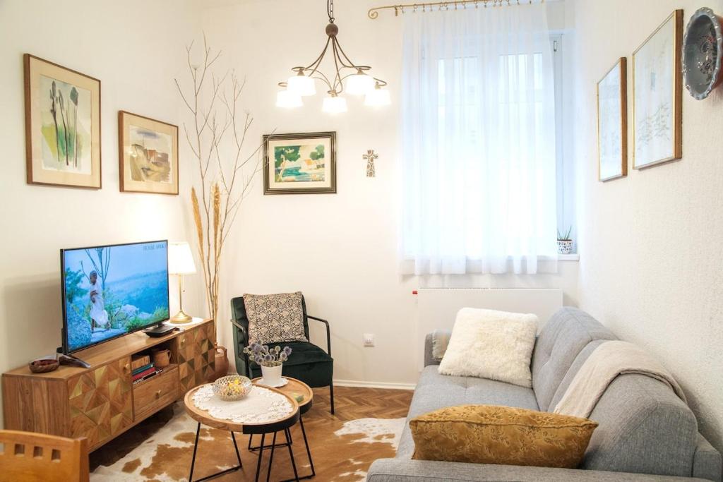 Apartman VIST