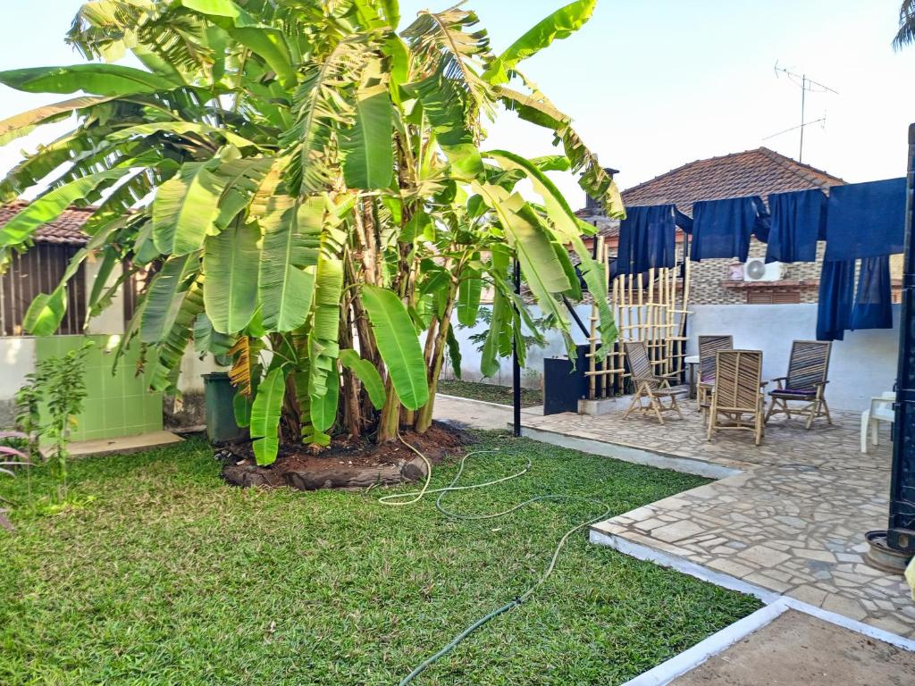 Zahrada ubytování Casa Cacheu Homestay Guest House