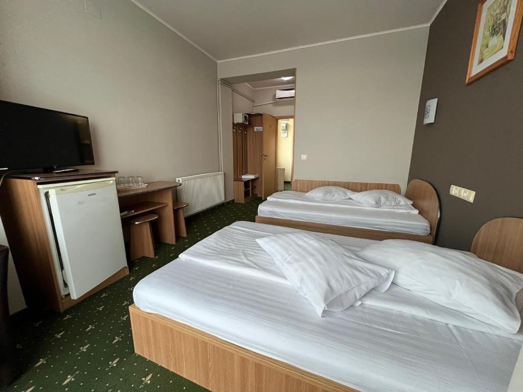 Postel nebo postele na pokoji v ubytování Vila Crinul